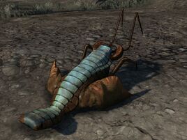 BL1 Giant Scythid