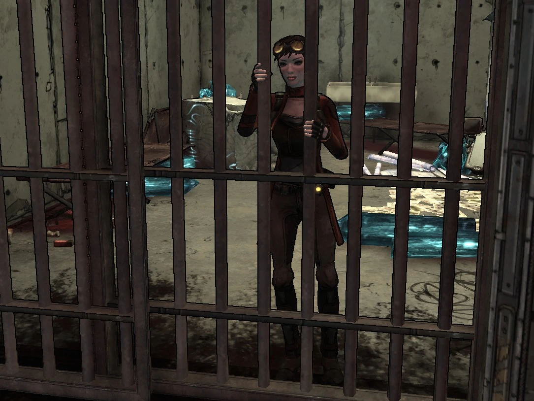 Get Some Answers Borderlands Wiki Fandom