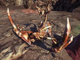 Stalker Tri-tail 2