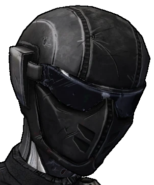 Zer0 Skins Borderlands Wiki Fandom