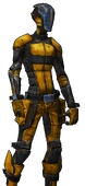 BL2-Zer0-Skin-Amber Assassin.png