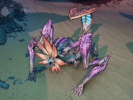 Mantakore infoboxpic