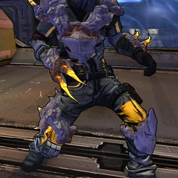 Nel Borderlands Wiki Fandom