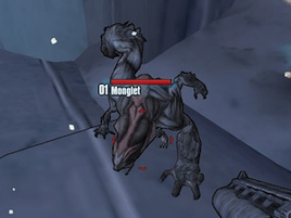 Monglet