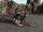 Stalker は人類の友.png