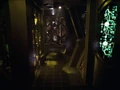 Dark frontier 359.jpg (113 KB) Interior hallway filled with alcoves and interfaces.