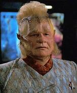 Neelix, Talaxian, Species 218