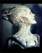 Borg Queen, a member of species 125.