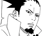 Shikamaru Nara