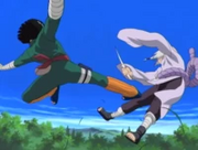 Rock Lee using taijutsu