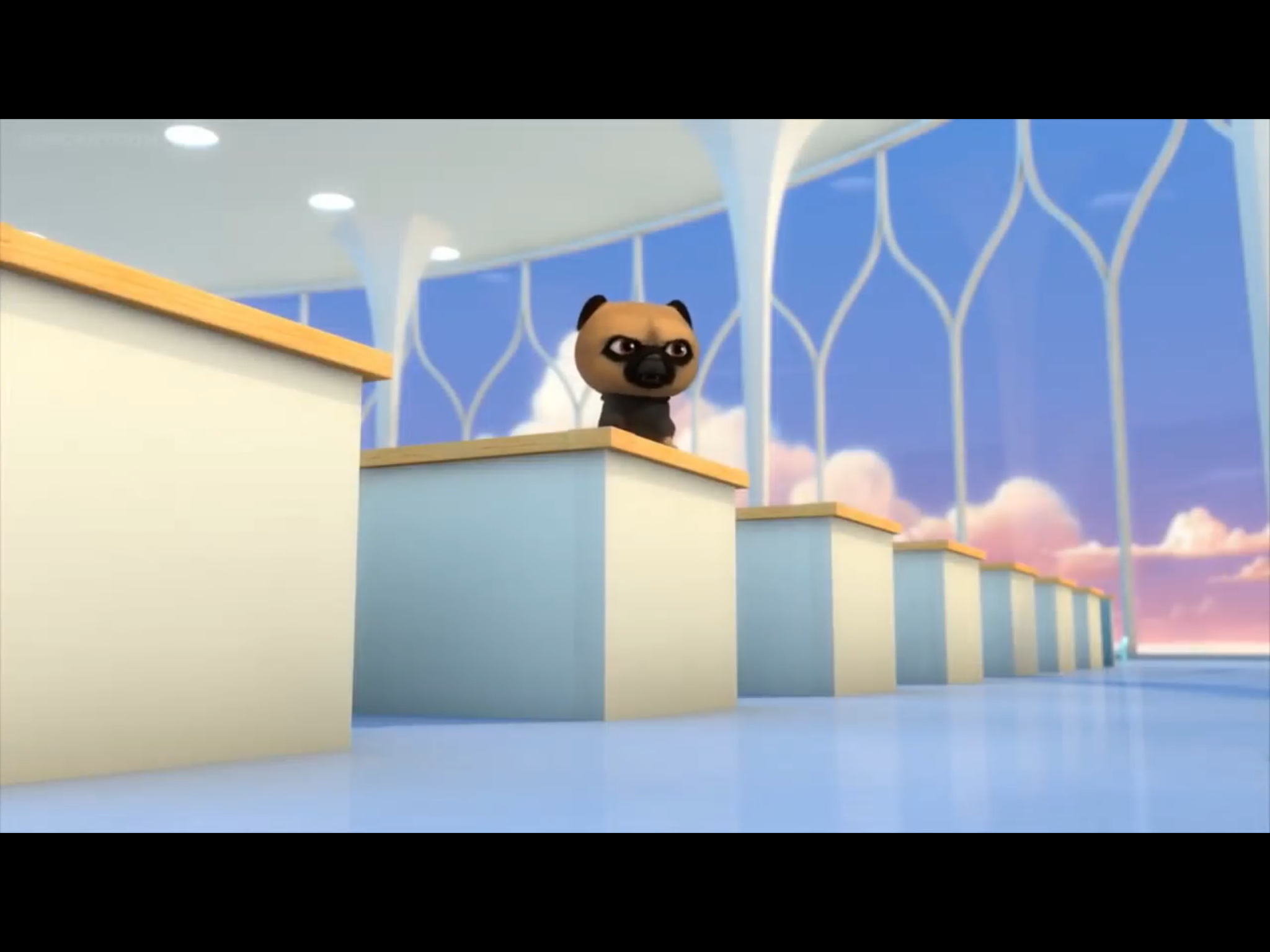 Pugs in a bug shop