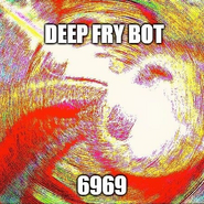 Deep Fry Bot 6969