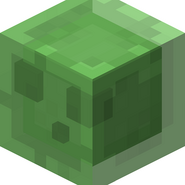 A random texture from minecraft until all have been posted and then i die