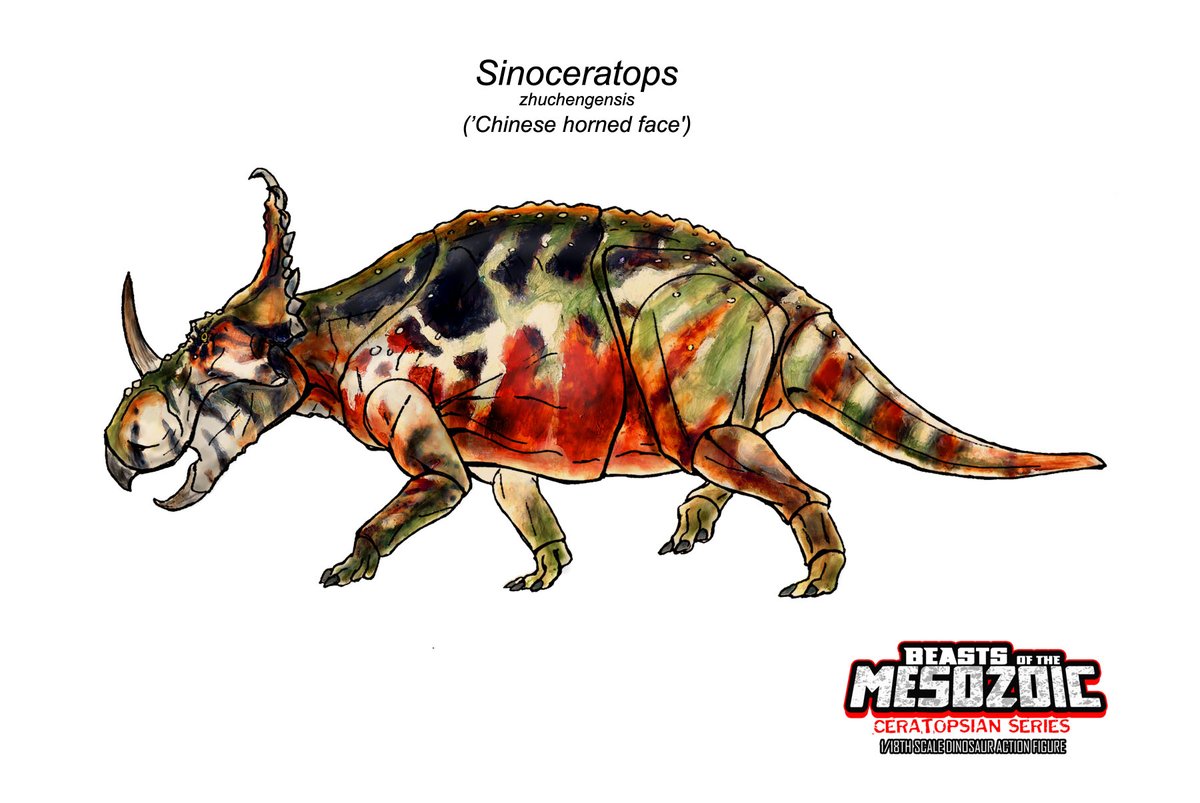 Sinoceratops zhuchengensis | Beasts of the Mesozoic Wiki | Fandom