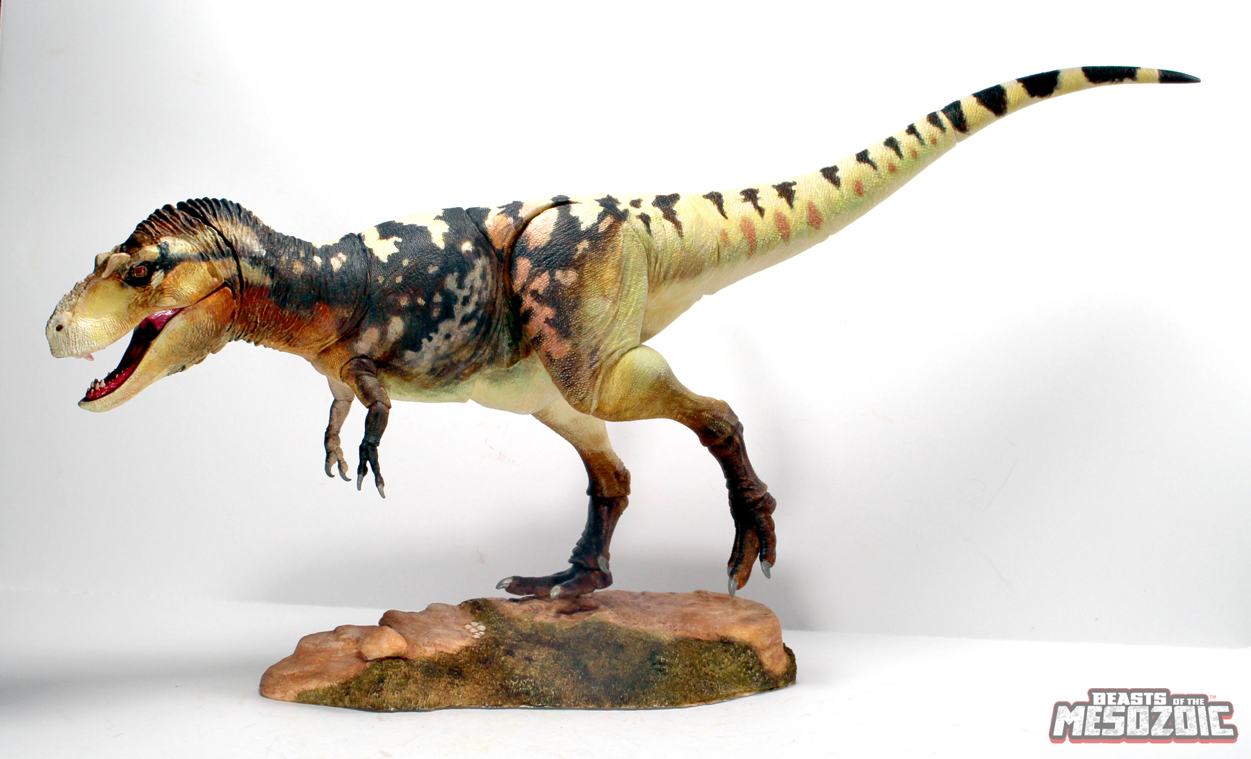 Amazon.com: Creative Beast Studios Beasts of The Mesozoic