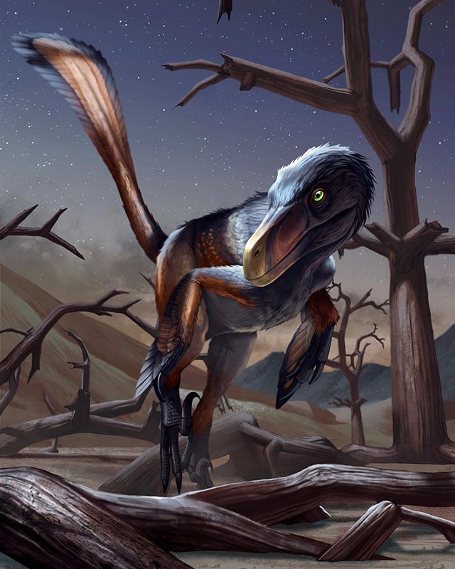 beasts of the mesozoic velociraptor mongoliensis