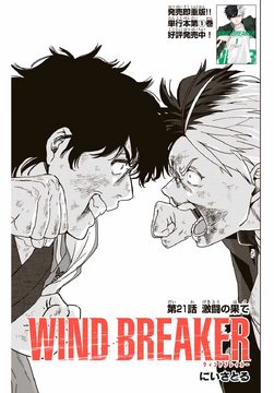 The Battle Concludes | Wind Breaker Wiki | Fandom