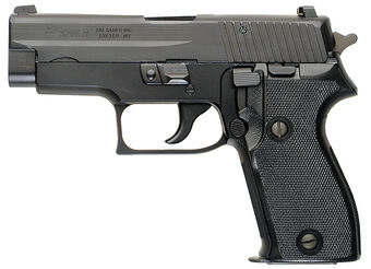 Gun Review: SIG Sauer P220 - The Truth About Guns