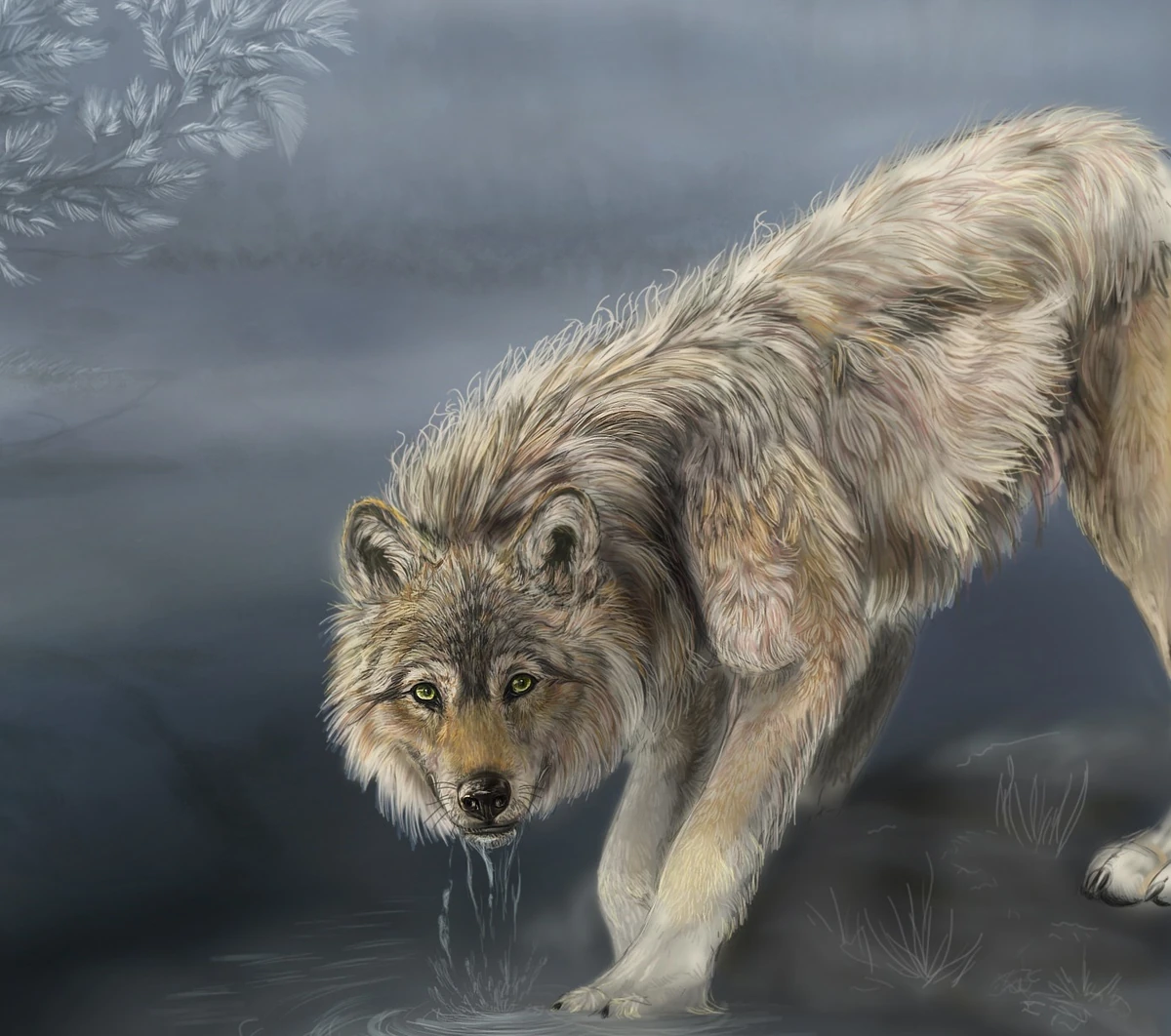 tailwind wolf grey