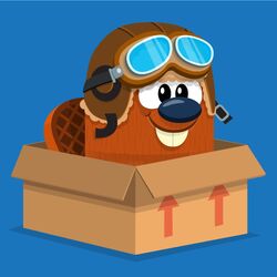 Bola de Basquete Laranja, Wiki Box Critters