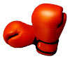 Icon-boxing-gloves.jpg
