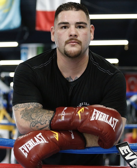 Andy Ruiz Jr. | Boxing Wiki | Fandom