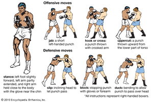 Orthodox stance | Boxing Wiki | Fandom