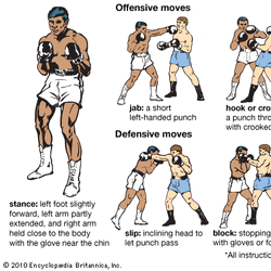 Category:Boxing terminology | Boxing Wiki | Fandom