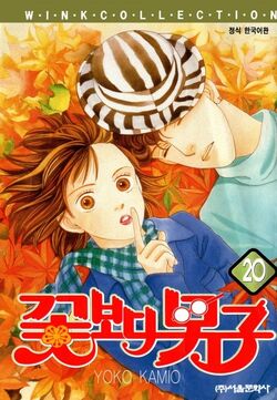 Boys over Flowers, Volume 20 | Boys Over Flowers Wiki | Fandom