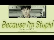Kim Hyun-joong - Because I'm Stupid (Lyrics)