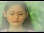 Meteor Garden II Trailer