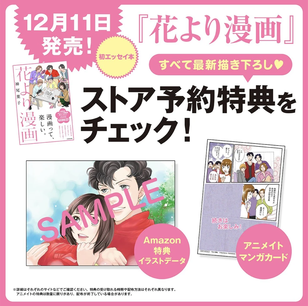 Hana Yori Manga | Boys Over Flowers Wiki | Fandom