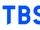 TBS Holdings