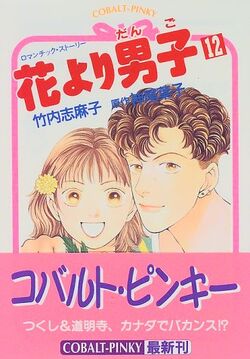 Hana Yori Dango Romantic Story Boys Over Flowers Wiki Fandom