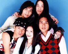 MeteorGardenBrowse