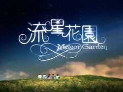 Meteor-Garden-card