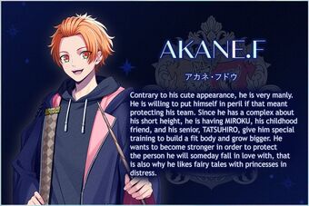 Wizard of Fairytale | B-Project Wiki | Fandom