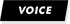 Voice.png