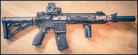 HK416 | Brain/Out Wiki | Fandom