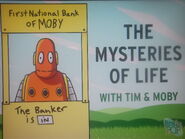 First National Bank of Moby (Charlie Brown reference)