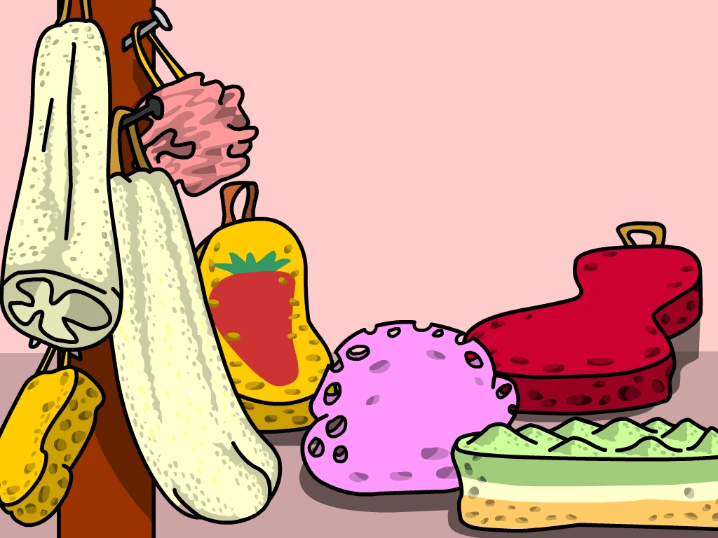 Sponges BrainPOP Wiki Fandom