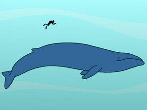 Jacques Cousteau | BrainPOP Wiki | Fandom