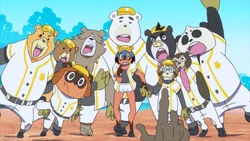 Bears before the game against the Tigers.