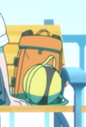 Backpack and basketball carrying bag