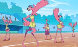 Pink Flamingos walking onto the field at the start of the match.