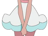 Nina Flip