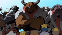 Bears sizing up the Buffalos at the beginning of the match.