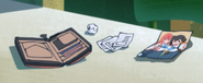 Michiru's wallet and contents