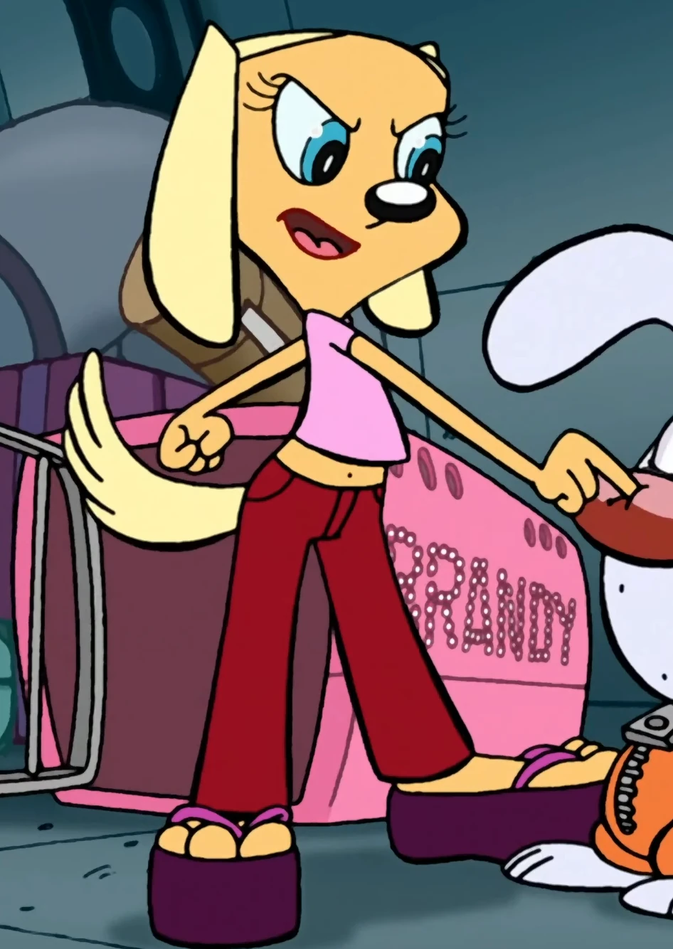 Brandy Harrington/Gallery Brandy and Mr. Whiskers Wiki Fandom