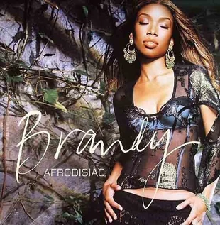 Afrodisiac (song) | Brandy Norwood Wiki | Fandom